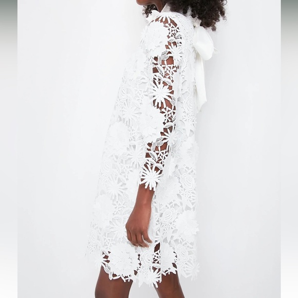 TUCKERNUCK Blanc Guipure Lace Daphne Dress - Picture 3 of 11